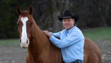 Chris Cox Horsemanship