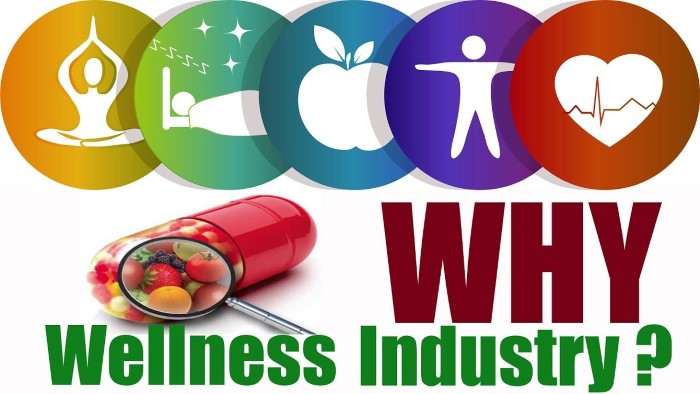 Health and Wellness Industry