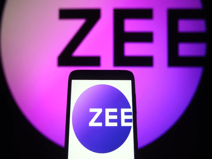 Overview of Zee Entertainment Enterprises Limited ZEEL