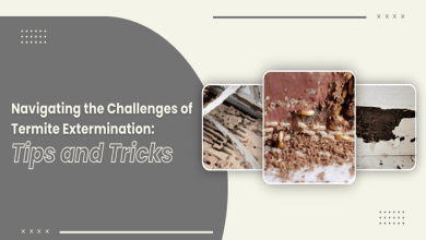 Navigating the Challenges of Termite Extermination Tips and Tricks