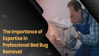 The Importance of Expertise in Professional Bed Bug Removal