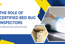 The Role of Certified Bed Bug Inspectors in Preventing Infestations