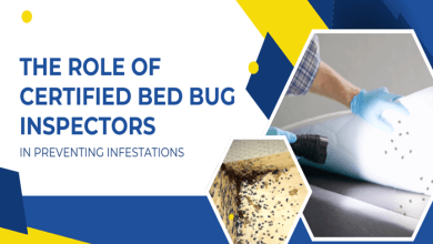 The Role of Certified Bed Bug Inspectors in Preventing Infestations