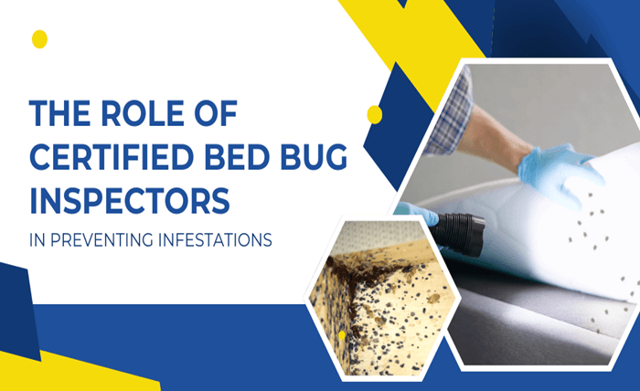 The Role of Certified Bed Bug Inspectors in Preventing Infestations