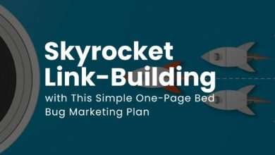 Skyrocket Link Building with This Simple One Page Bed Bug Marketing Plan