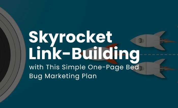 Skyrocket Link Building with This Simple One Page Bed Bug Marketing Plan