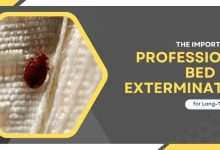 The Importance of Professional Bed Bug Extermination for Long Term Results