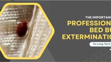 The Importance of Professional Bed Bug Extermination for Long Term Results