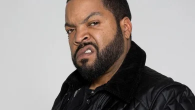 ice cube net worth