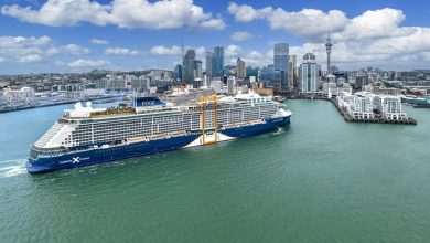Iconic Stops on a New Zealand Cruise