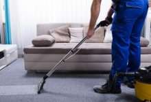 Extend the Life of Your Carpet with Professional Cleaning Services in Carmel